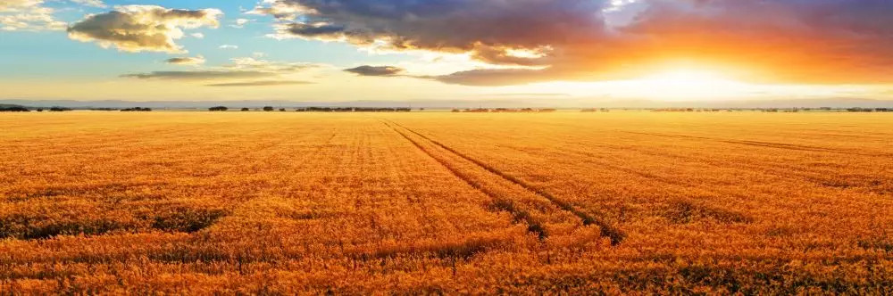 agricultural law